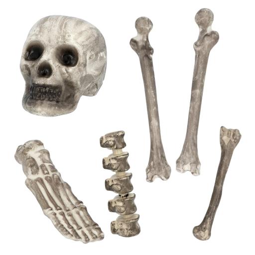 Set 6 Skull & bones