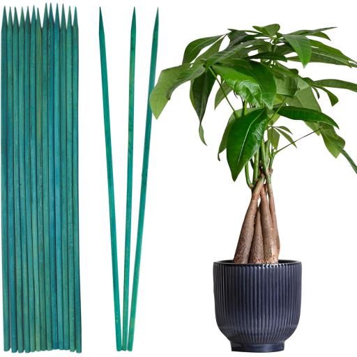 Blade -Green Plan Stick 30 Cm 50 Pk