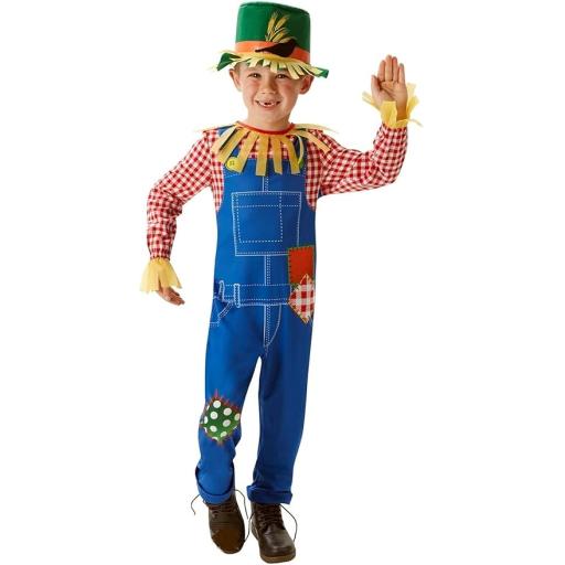 Mr Scarecrow Costume