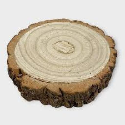 Wood Slice (11 to 13cm (x2.5cm)