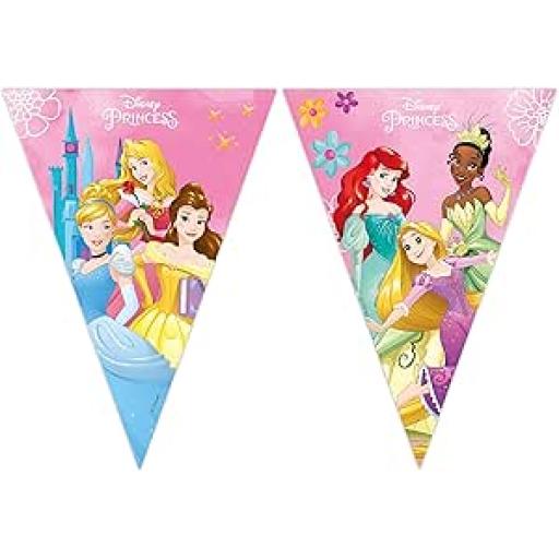 Princesses Flag Banner 3m