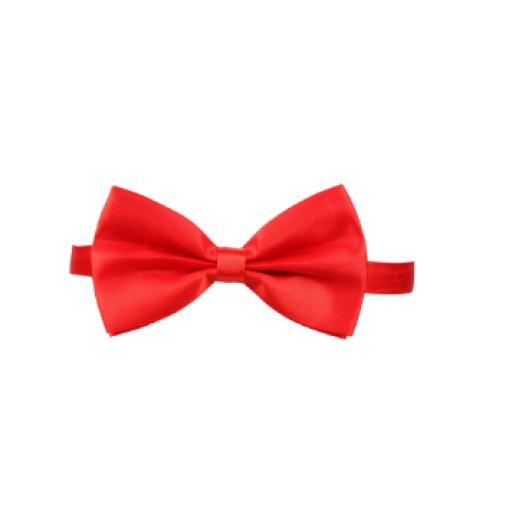 4687417095c4e298d4f1bb1375a161df.png