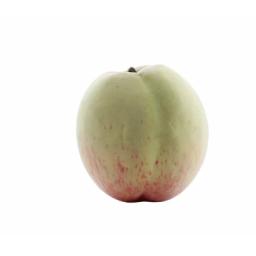 a2a9ec98b727f50b054b73d2247077e2.png