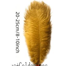 Gold Feathers.png