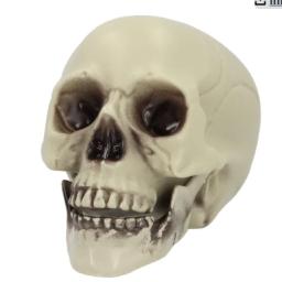 163b1633e838cc20f82eb79249679179.png