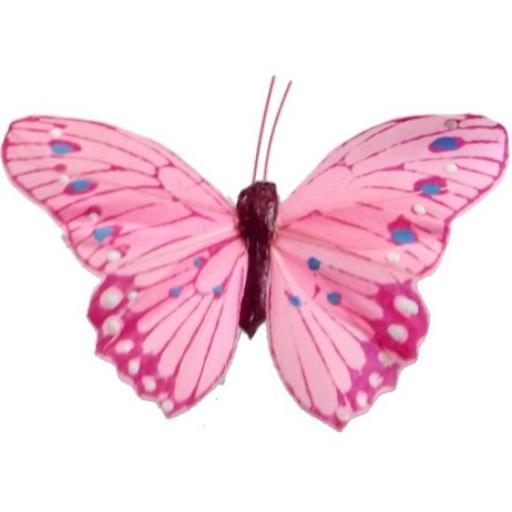 0027213_10cm-feather-butterfly-on-20cm-wire-pink-x-12pcs-0_550.jpg