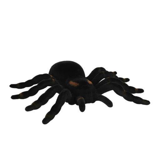 Spider Tarantula (16 x 11 cm)