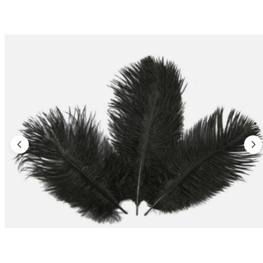 Feathers Artifical Black 8 to 10In 3 pack